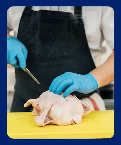 100% Hygienic Handling